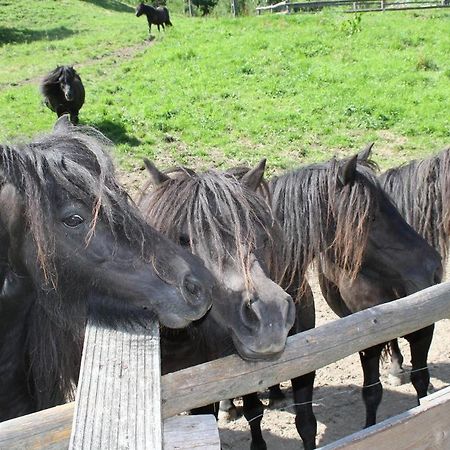Rezydencja Lesny Dwor Piwniczna-Zdroj Extérieur photo