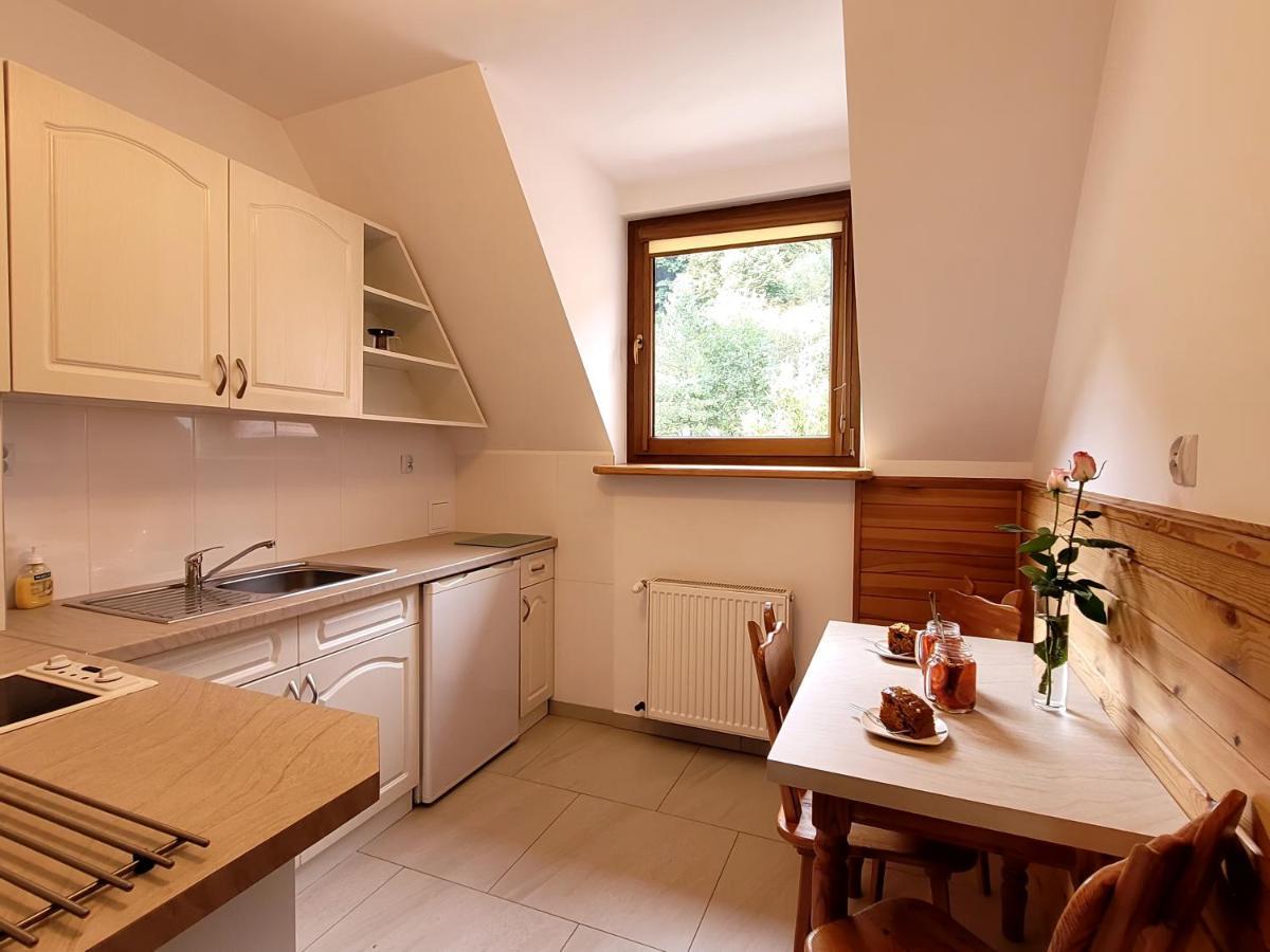 Rezydencja Lesny Dwor Piwniczna-Zdroj Extérieur photo