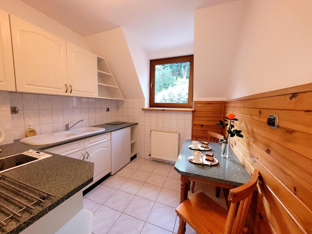 Rezydencja Lesny Dwor Piwniczna-Zdroj Extérieur photo