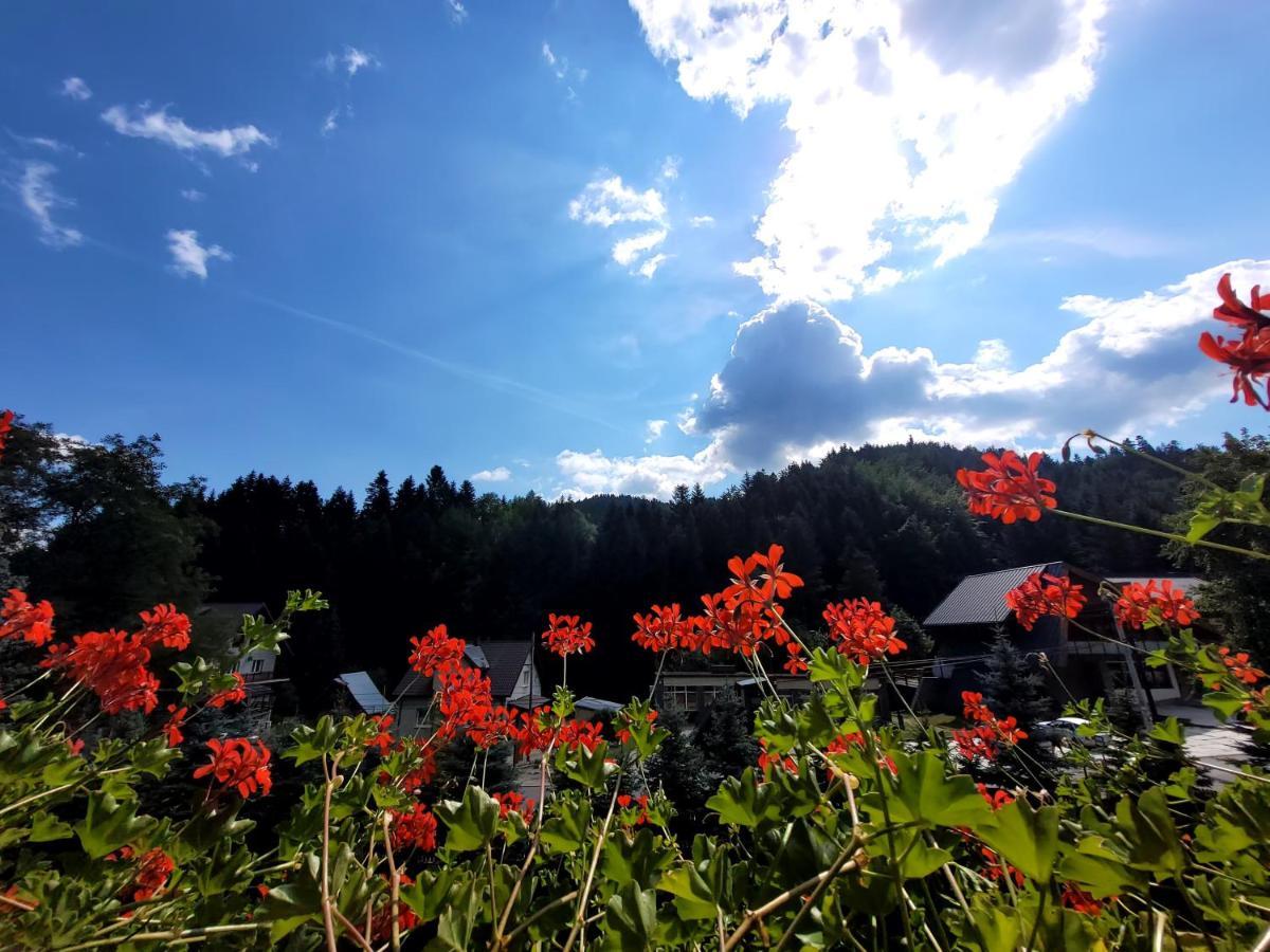 Rezydencja Lesny Dwor Piwniczna-Zdroj Extérieur photo