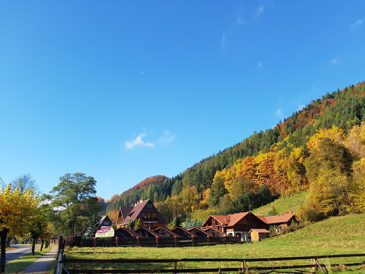 Rezydencja Lesny Dwor Piwniczna-Zdroj Extérieur photo